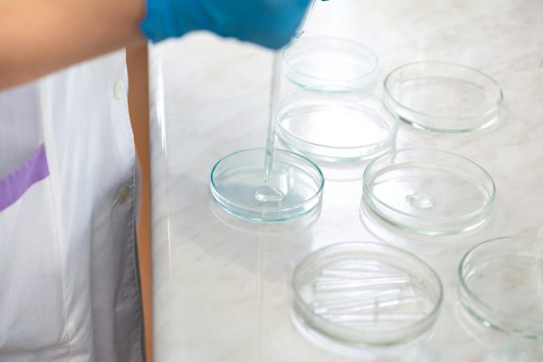 pexels-photo-9628802-9628802 Close-up of a laboratory scientist using a dropper to transfer liquid into petri dishes.